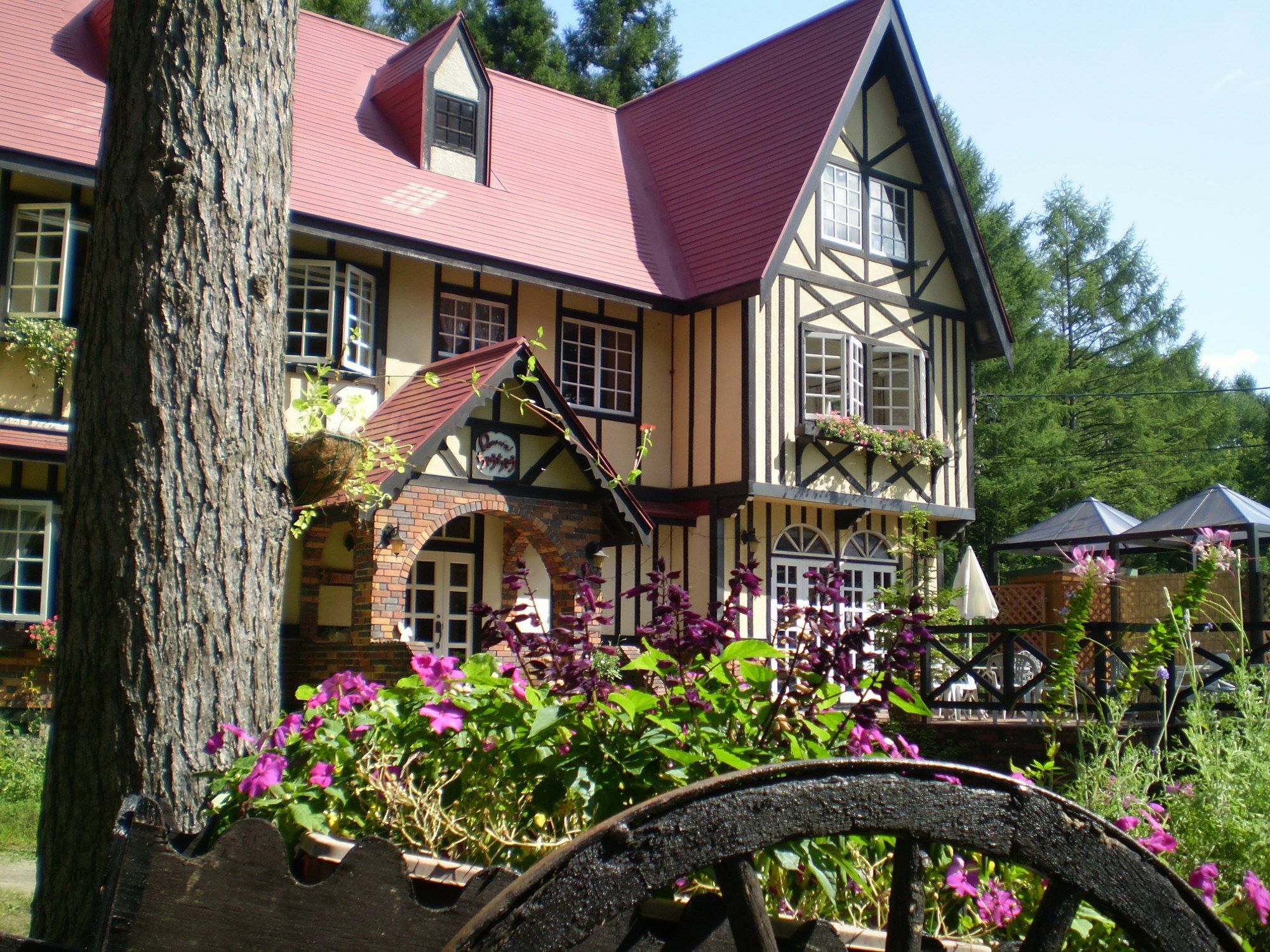 ペンション ちゃうちゃう Bed & Breakfast Хакуба Екстериор снимка